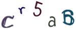 Bild-CAPTCHA