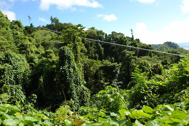 doppelmayr_simberi_line_2