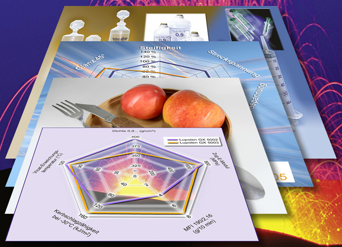 bild_picture_2009-0236