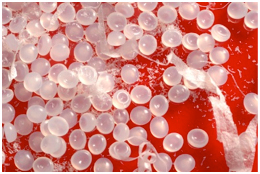 pelletron_before_cleaning-1