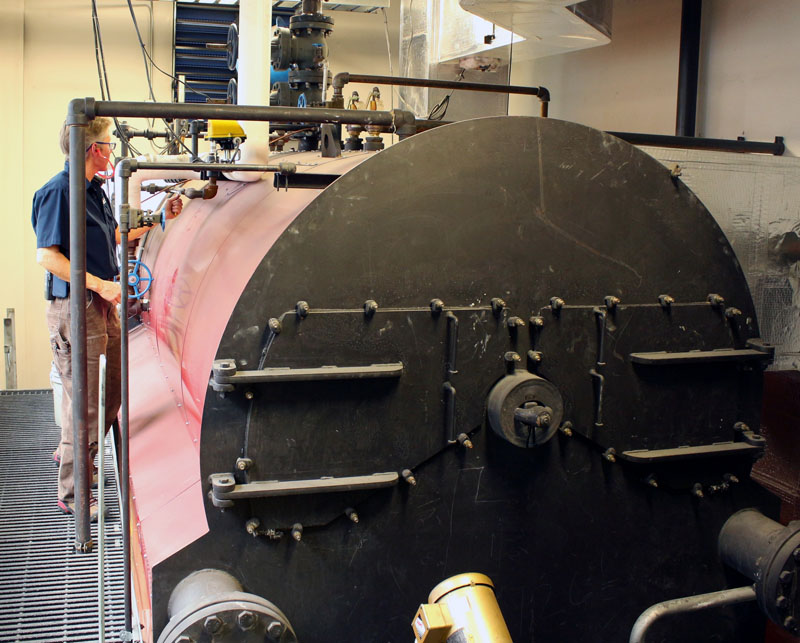 martin_eng_alaskan_brewing_water_side_biomass_fig_