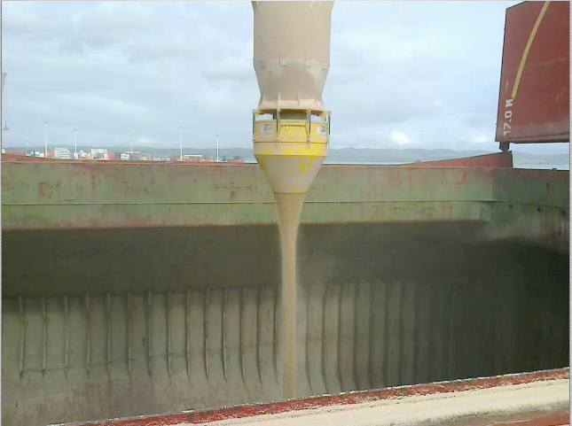 napier port wood pellets