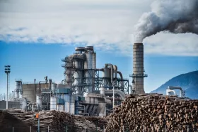 An explosion in a wood processing plant may endanger human lifes and the environment as well as the survival of the plant. (Pictures: © IEP Technologies)
