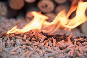The EU is determined to achieve 63% of heat generation by biomass by 2020.

