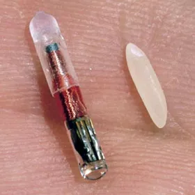 Fig. 11: Example of RFID tag.
