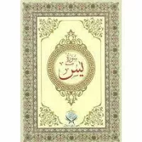 Member Profile - Surah E Yasin Image