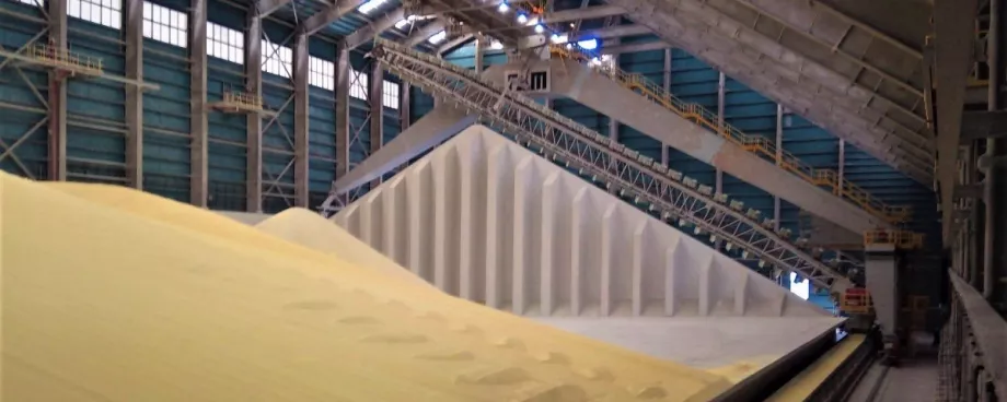 Article Teaser - wp 404